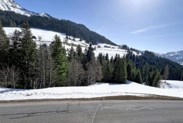 Chalet individuel de 5.5 pièces avec annexe à La Collombaz