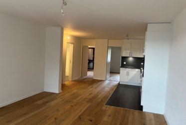 3,5 pièces rénové | Fribourg