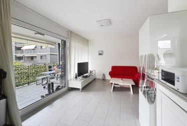 Lumineux rez-de-jardin | Villeneuve