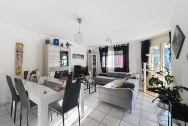 3.5 pièces lumieux | centre village
