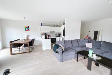 Lumineux Appartement Comme Neuf