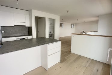 Villa Neuve | Panorma Sur Le Léman