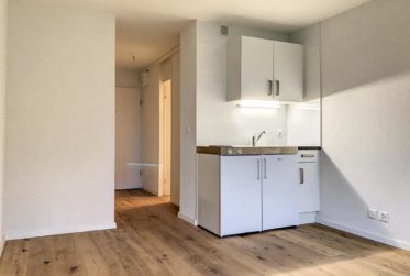 Studios rénovés avec jardin-terrasse | 2 Derniers lots!