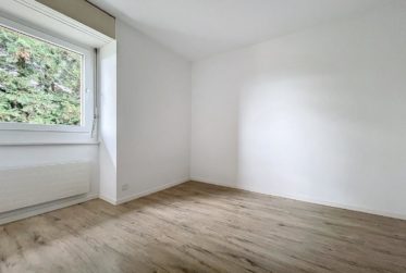 Charmant 4.5 pièces | jouissance jardin | Vue Lac