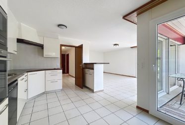 5,5 pièces au calme | Terrasse 100m2 | Savigny