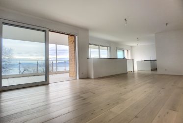 Villa Neuve | Panorma Sur Le Léman