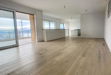 Villa Neuve | Panorma Sur Le Léman