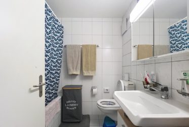 3.5 pièces lumieux | centre village