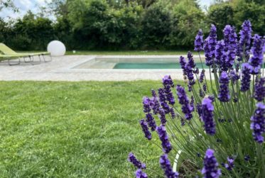 Ferme de caractère avec piscine